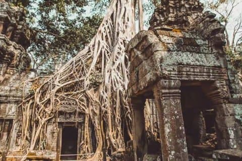 Angkor Wat – 2 giorni, guida turistica di lingua tedesca