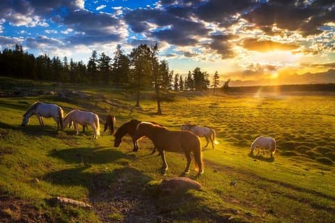 8-Day Khuvsgul Discovery Tour
