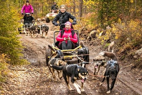 Husky zomeravontuur : Kennelbezoek en Huskyrit - Rovaniemi