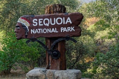 Sequoia National Park & Crystal Cave Day Tour from Cupertino