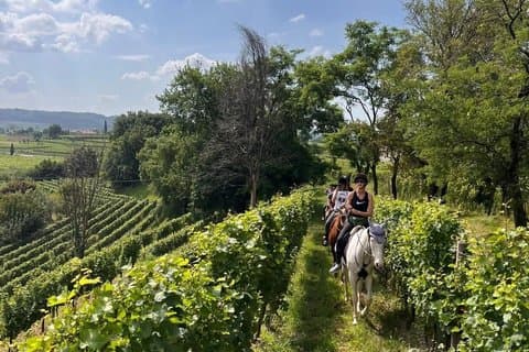 Horseback Ride Through the Vineyards of Franciacorta
