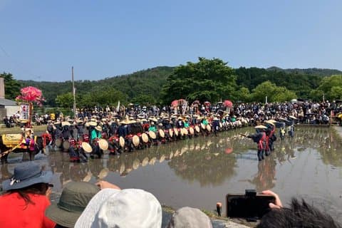 Visite en bus du festival Mibu Hanadaue