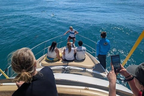 4H noleggio di yacht privato da Fuengirola con snack e bevande