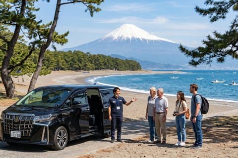 Prise en charge au port : visite de Shizuoka avec guide agréé et véhicule