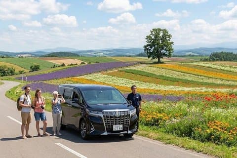 Furano & Biei 4 hour Tour: English Speaking Driver only, No Guide
