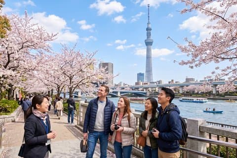 Tokyo 6 timers Instagram Highlights Privat tur med licenseret guide