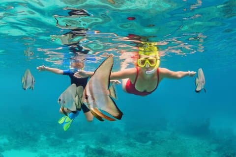 Hotell i nærheten av Roatan Snorkeling Adventure and Beach Day Pass
