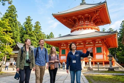 Mt. Koya Sacred 4 timers privat tur med statsautoriseret guide