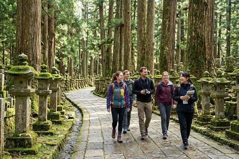 Mt. Koya Sacred 6hr Private Tour with Government Licensed Guide