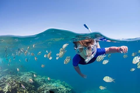 Roatan Adventure: Snorkeling, Monkey ,Sloth and Beach