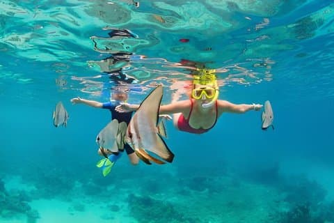 Tour privato di snorkeling a West Bay Beach