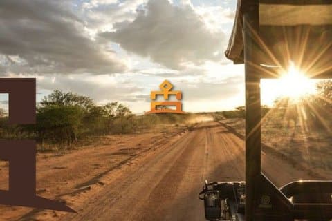 Private Ultimate Pilanesberg Safari from Johannesburg