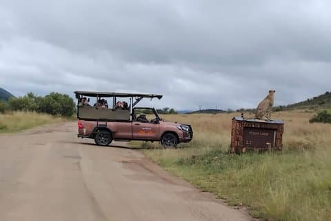 Full Day Pilanesberg Safari Adventure