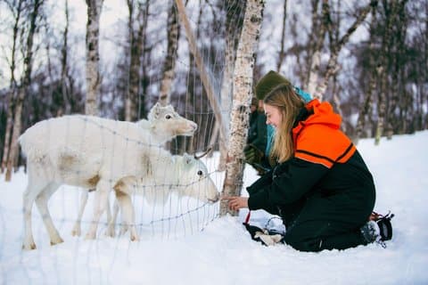 Vildmarksupplevelse på Camp Tamok
