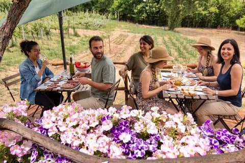 Montepulciano: Cinta Senese Farm Tour, Food Tasting & wine