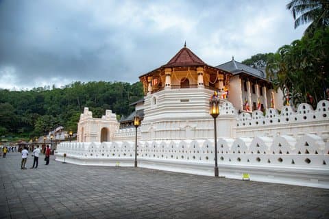 Tours privados con Shehan desde Colombo a Kandy y más allá