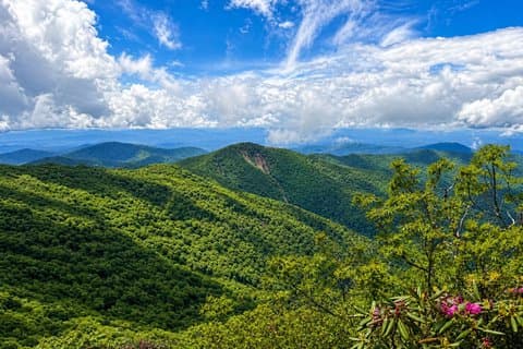 Excursion d'une journée à la boutique privée Blue Ridge Parkway