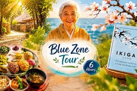 Okinawa Private Blue Zone Tour with Guide and Driver 1–8 Guests