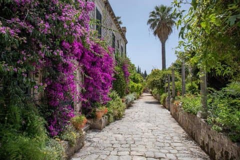 Privétransfer van Split naar Dubrovnik met optionele haltes