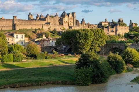 Toulouse Carcassonne Dagstur privat tur