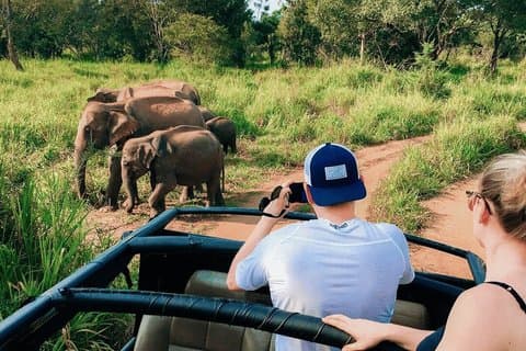 Polonnaruwa Heritage and Hurulu Eco Park Safari from Pasikuda