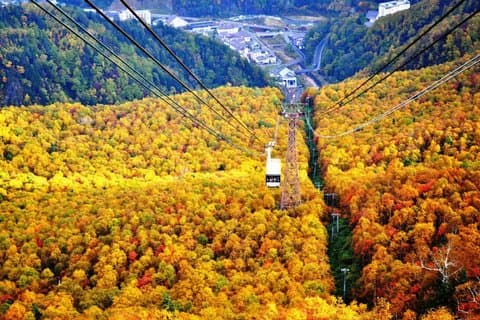 Kurodake-Seilbahn, Bustour durch den Asahiyama-Zoo im Herbstlaub
