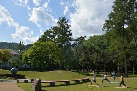 Visita al bosque de Hokkaido y al santuario de Hokkaido