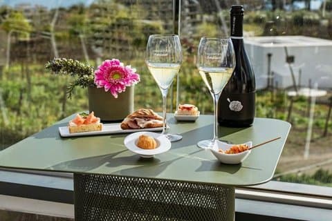 From Vine to Table: Vesuvian Wine Tasting with Authentic Lunch