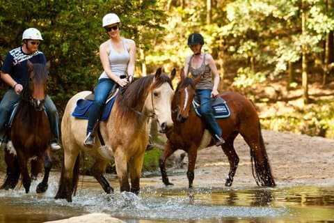 Alanya Horseback Riding Scenic Trails and Nature Escape