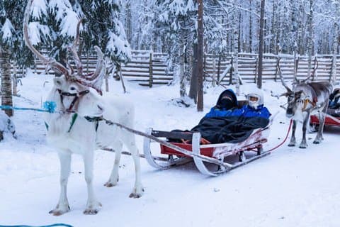 Sneeuwscooter Safari naar Rendierboerderij - Rovaniemi