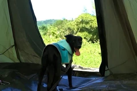 2 Day El Yunque Waterslides and Ranch Camping Adventure