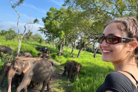 Ophalen bij Sigiriya & Dambulla Minneriya Elephant Safari