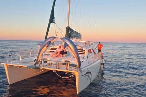 Mediterranean magic with bath stop - dolphin photo shoot on board