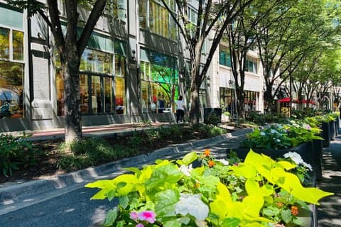 Food and Shopping Tour in Bethesda Row