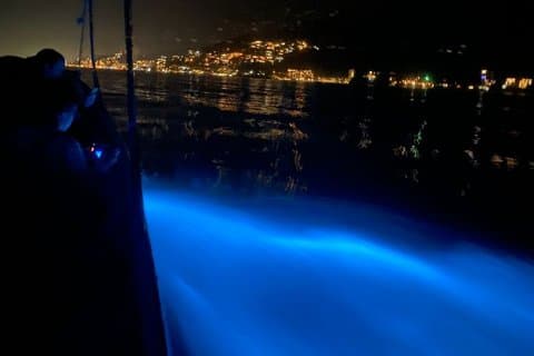 Los Arcos Bioluminescência e Vida Noturna Combo