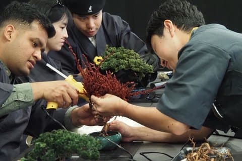 Osaka : Bonsai-Machen mit Ortskundiger Reiseleiter