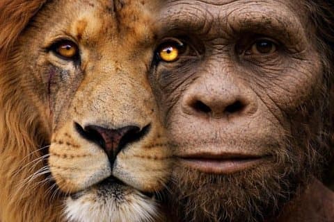 Cradle of Humankind Tour with Lion Safari from Johannesburg