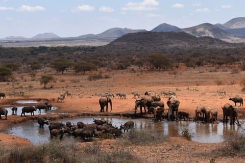 17 Day Ultimate Kenya Safari Big Five and Great Migration