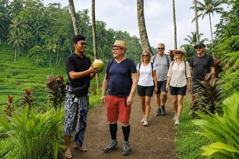 Bali Private Car Hire with Local Host