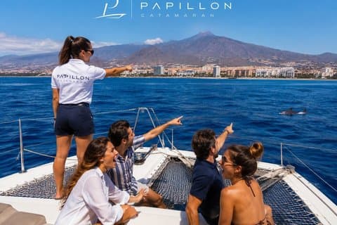 Los Cristianos : Avistamiento de Ballenas de Lujo Swim Stop Food & Drinks