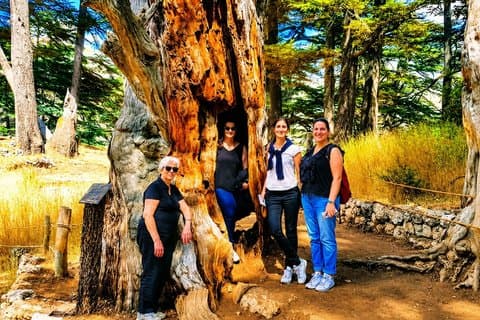 Excursão em grupo pequeno de Qadisha Valley, Bcharee & Cedar com almoço