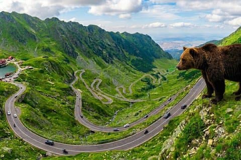 Små grupper & afhentning, Top Gear Road - Transfăgărăşan