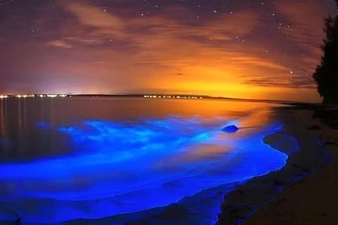 Tour in kayak sulla bioluminescenza vicino a Orlando