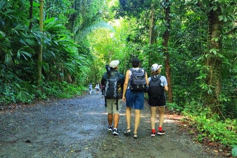Manuel Antonio National Park Guided Tour