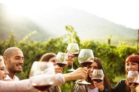 Lago d'Iseo & Cantina Franciacorta. Scenic & Wine Tasting tour