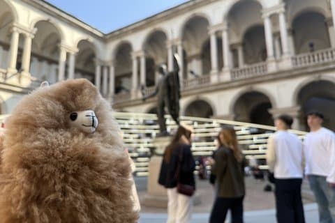 Brera Art Gallery Private Tour with Art Historian