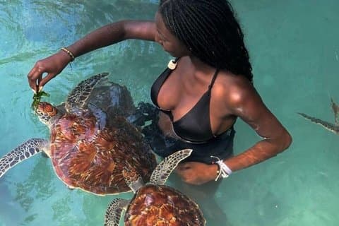 Nager avec les tortues marines et la forêt de Jozani à Zanzibar