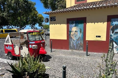Madeira Special City Tuk Tuk Tour and Viewpoints by MadTuk