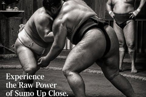 Encontre seu lutador favorito no Morning Sumo Practice