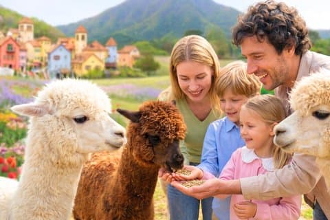 Nami Island, Petite France, Rail Bike und Painters Show Day Tour